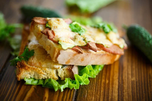 Toast mit Wurst, Käse und Gurken gebacken — Stockfoto