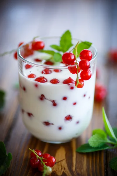 Zoete zelfgemaakte yoghurt met rode aalbessen — Stockfoto