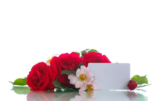 Bouquet of beautiful red roses — Stock Photo, Image