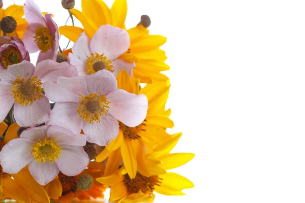夏天的黄色雏菊花束 — 图库照片