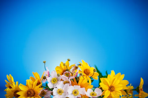 Sommerstrauß aus gelben Gänseblümchen — Stockfoto