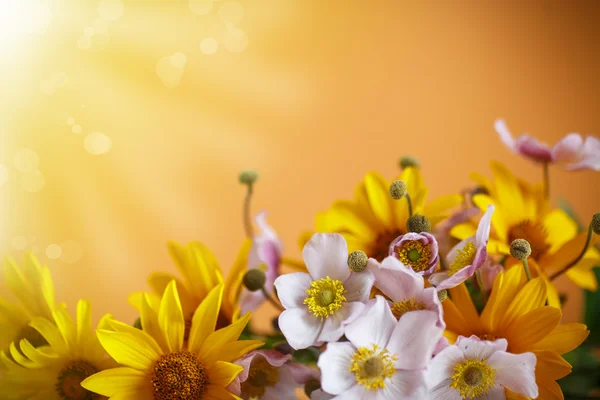 Summer bouquet of yellow daisies — Stock Photo, Image