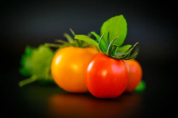 Fresh ripe tomatoes — Stock Photo, Image