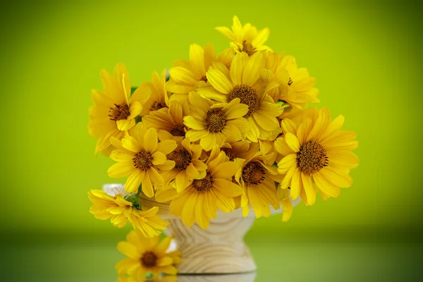 Bouquet d'été de marguerites jaunes — Photo