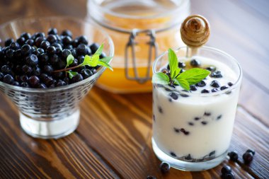 yaban mersini ve ballı tatlı ev yapımı yoğurt