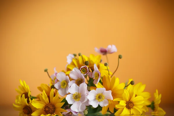 Letní kytice žluté sedmikrásky — Stock fotografie