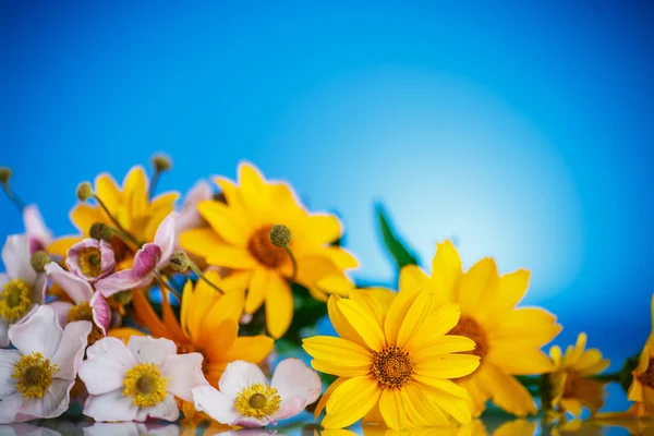 Buquê de verão de margaridas amarelas — Fotografia de Stock