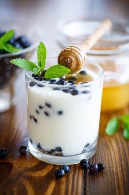 yaban mersini ve ballı tatlı ev yapımı yoğurt