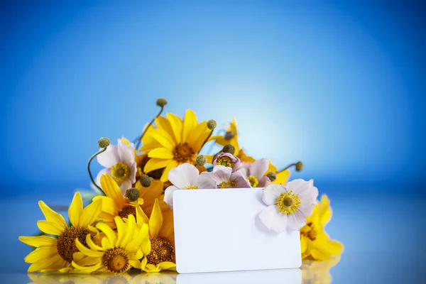 黄色のヒナギクの夏の花束 — ストック写真
