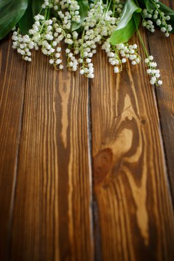 çiçek açan lily vadi