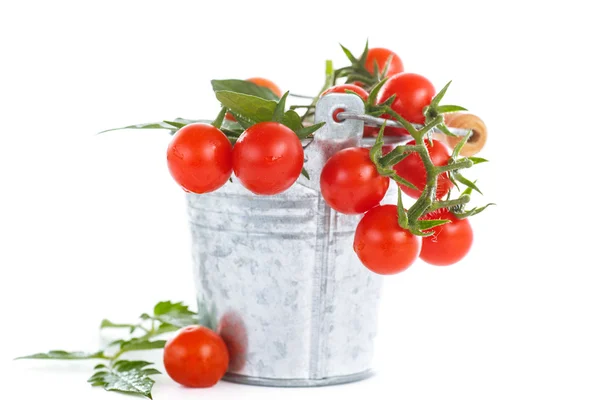Čerstvé organické cherry rajčata — Stock fotografie