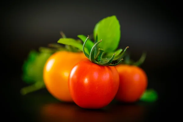 Fresh ripe tomatoes — Stock Photo, Image