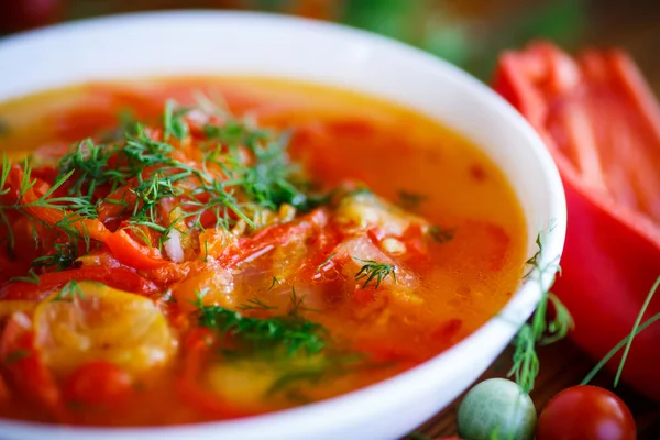 Суп из сладкого перца и помидоров — стоковое фото