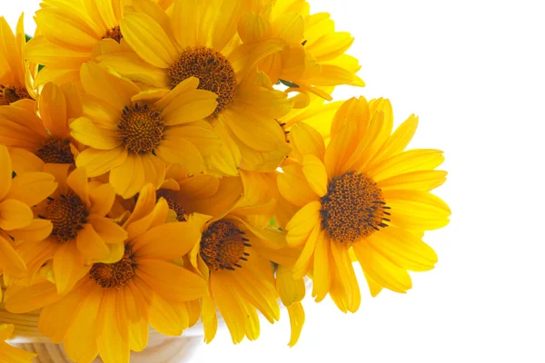 Bouquet of yellow daisies — Stock Photo, Image