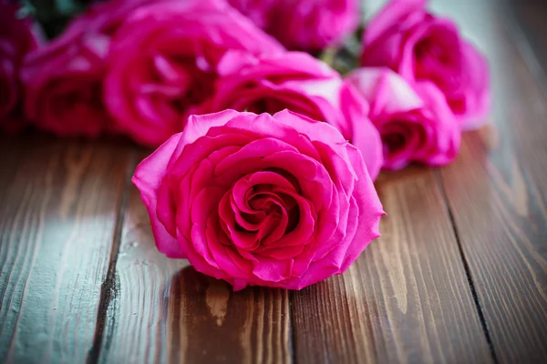 Prachtig helder roze rozen — Stockfoto