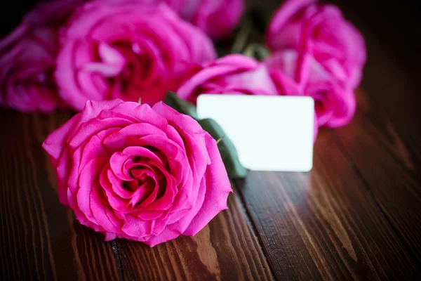 Beautiful bright pink roses — Stock Photo, Image