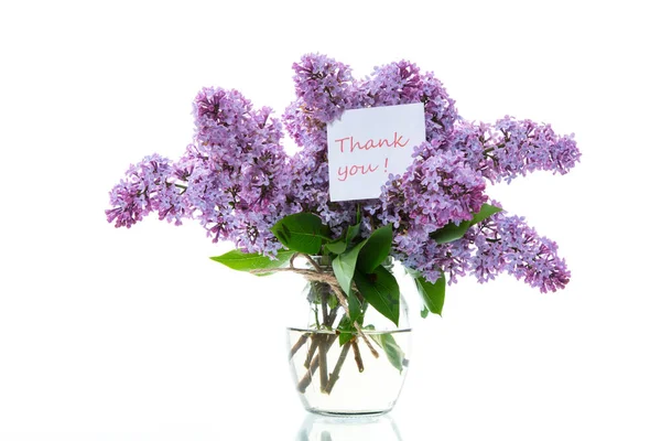 Ramo de hermosas flores de primavera de lila sobre fondo blanco — Foto de Stock