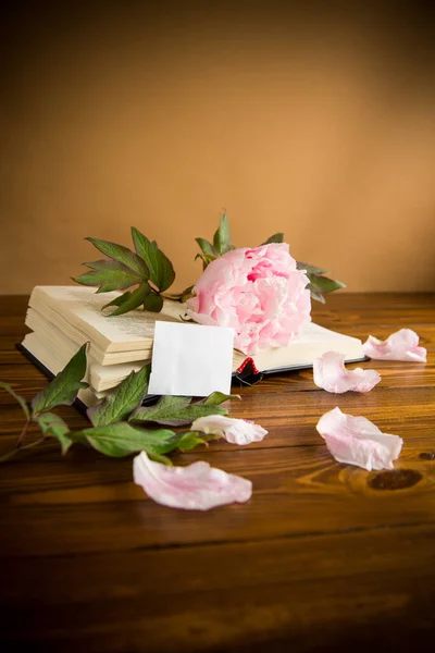 peony pink beautiful flower, book, empty card