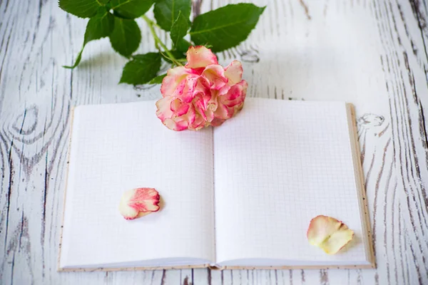 Bright pink rose and blank notebook as a blank — Stock Photo, Image