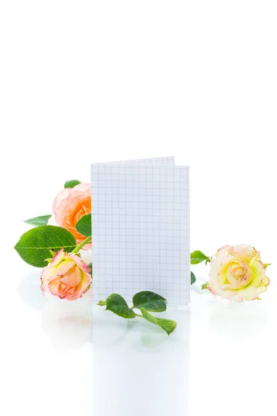 Rosa belas rosas de verão com papel timbrado em branco para texto — Fotografia de Stock