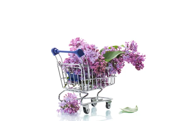 Ramo Lilas Florecientes Primavera Carrito Compras Aislado Sobre Fondo Blanco — Foto de Stock