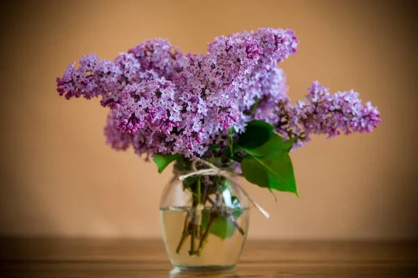 Bouquet Bellissimi Fiori Lilla Primaverili Sfondo Arancione — Foto Stock