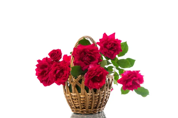 Strauß Schöner Roter Rosen Auf Weißem Hintergrund — Stockfoto