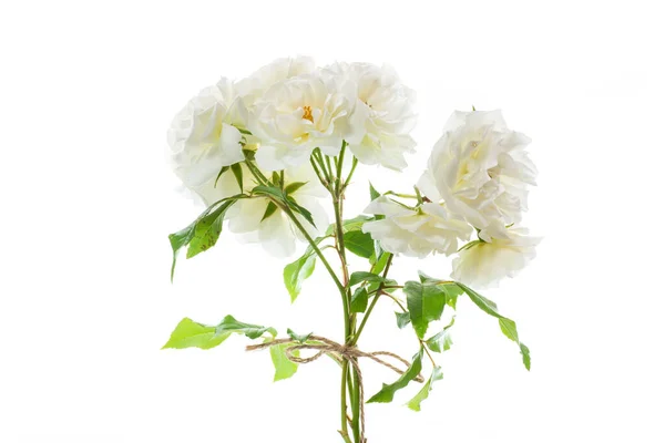 Ramo Hermosas Rosas Blancas Aisladas Sobre Fondo Blanco — Foto de Stock