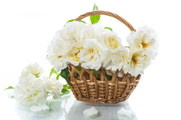 Strauß Schöner Weißer Rosen Isoliert Auf Weißem Hintergrund — Stockfoto