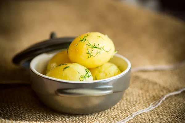 Tidig Kokt Potatis Med Smör Och Färsk Dill Keramisk Skål — Stockfoto