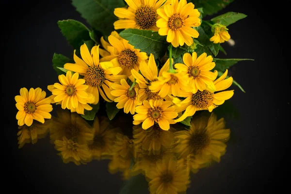 Bouquet Beautiful Yellow Daisies Isolated Black Background — Stock Photo, Image