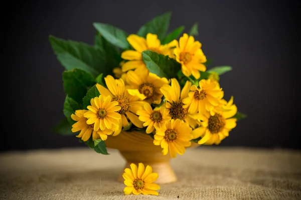 Μπουκέτο Από Όμορφες Κίτρινες Μαργαρίτες Απομονωμένες Μαύρο Φόντο — Φωτογραφία Αρχείου
