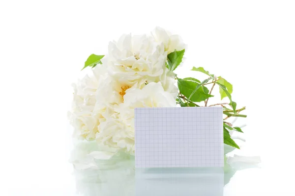 Bukiet Pięknych Białych Róż Izolowanych Białym Tle — Zdjęcie stockowe