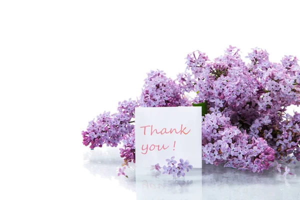 Bouquet Beautiful Spring Flowers Lilac Isolated White Background — Stock Photo, Image