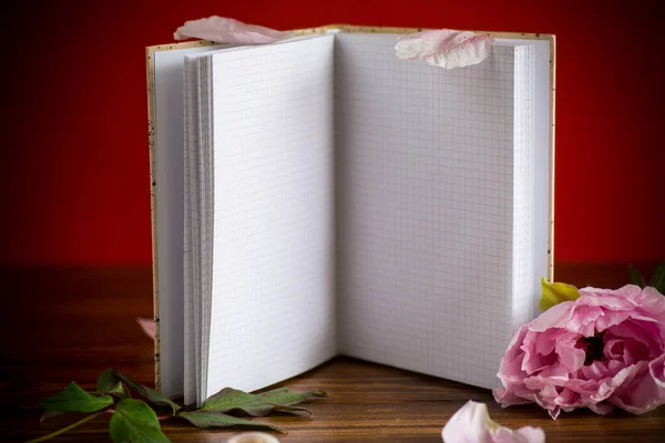 Peônia Bonita Rosa Com Pétalas Caderno Branco Texto Uma Mesa — Fotografia de Stock