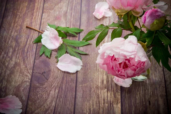 Mooie Roze Bloeiende Pioenrozen Met Bloemblaadjes Een Houten Tafel — Stockfoto