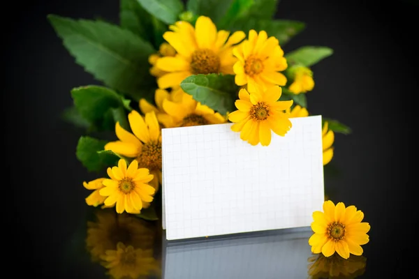 Strauß Schöner Gelber Gänseblümchen Isoliert Auf Schwarzem Hintergrund — Stockfoto