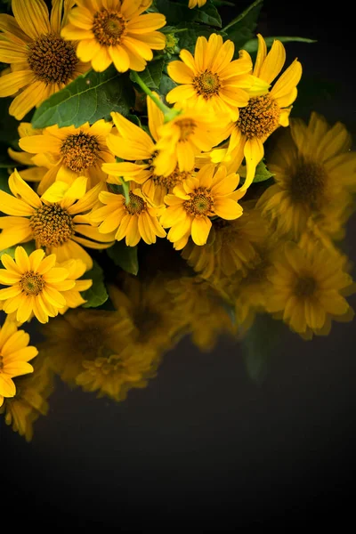 Bouquet Belles Marguerites Jaunes Isolées Sur Fond Noir — Photo