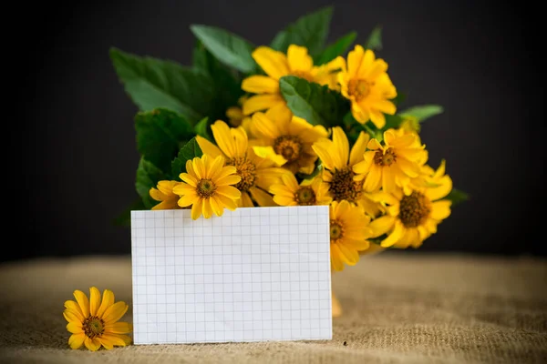 Buquê Margaridas Amarelas Bonitas Isoladas Fundo Preto — Fotografia de Stock