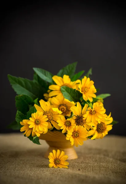 Strauß Schöner Gelber Gänseblümchen Isoliert Auf Schwarzem Hintergrund — Stockfoto