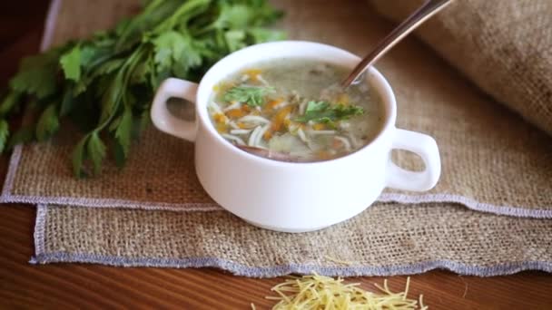 Sopa quente cozida com macarrão e legumes — Vídeo de Stock