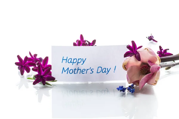 Beautiful Bouquet Spring Flowers Congratulations Mother White Background — Stock Photo, Image