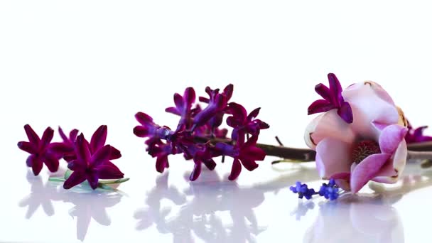 Belo buquê de flores de primavera com congratulações para a mãe — Vídeo de Stock