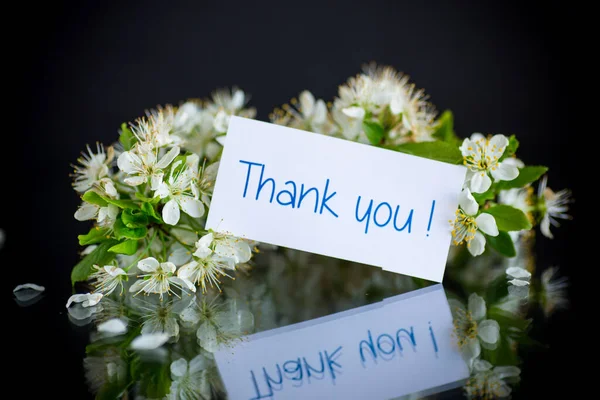 Obrigado Cartão Florescendo Ramo Primavera Com Flores Isoladas Fundo Preto — Fotografia de Stock