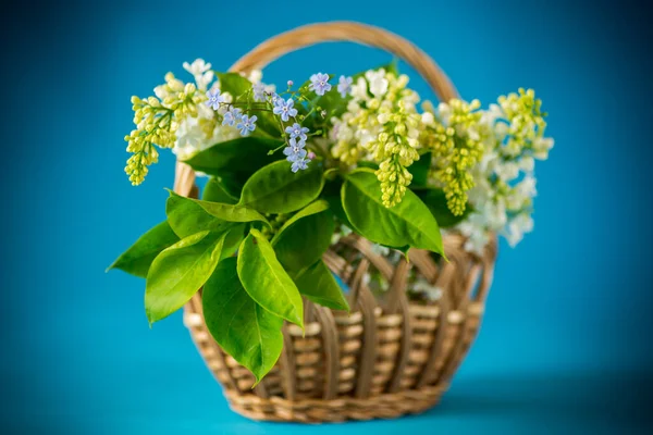 青い背景に白いライラックが咲く春の花束 — ストック写真