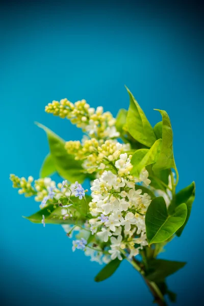 Ramo Flores Primavera Blanco Lila Sobre Fondo Azul — Foto de Stock