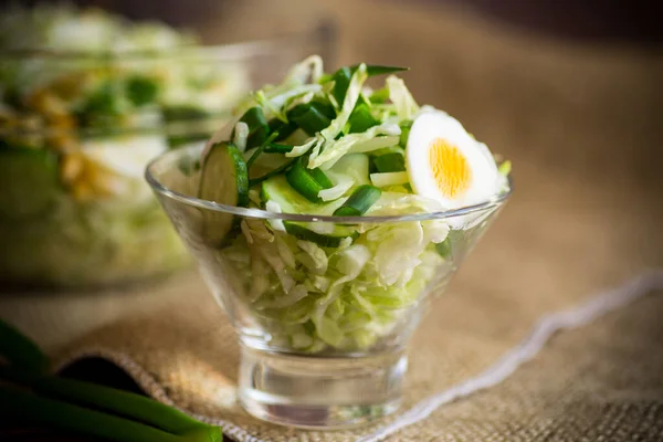 Salada Primavera Com Repolho Cedo Pepinos Ovos Cebolas Verdes Uma — Fotografia de Stock