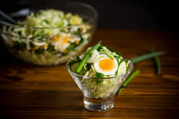 Spring salad with early cabbage, cucumbers, eggs and green onions — Stock Photo, Image