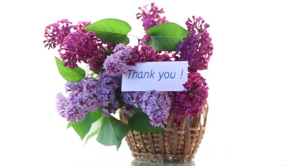 Ramo de diferentes flores de primavera lilas en cesta sobre fondo blanco — Vídeo de stock