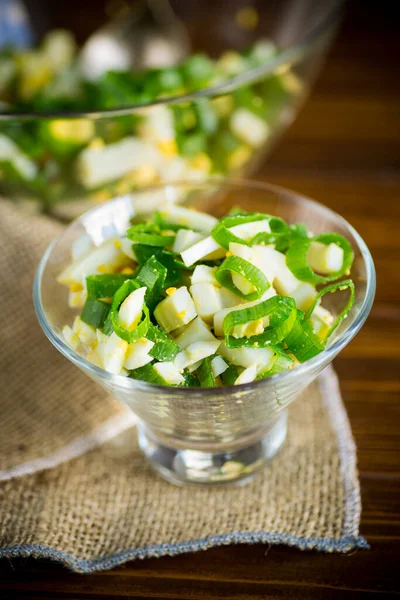 Insalata Fresca Primavera Con Calamari Bolliti Uova Sode Cipolle Verdi — Foto Stock